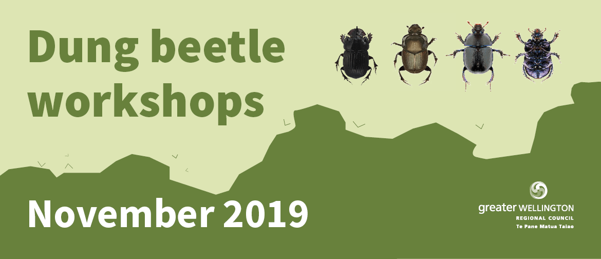 Dung Beetle Workshop 2019 - 2