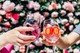 Secret Garden Pop-Up