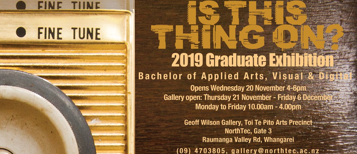 Is This Thing On? 2019 Graduate Exhibition