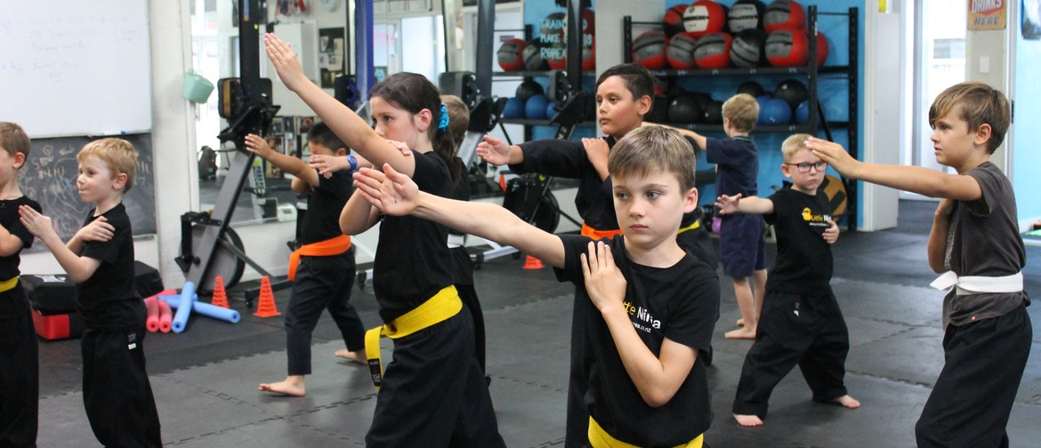 Little Ninjas Kids Classes
