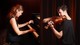 Beethoven Violin and Piano Sonatas - Wanaka