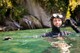 Fiordland All Girls Adventure – February 2021