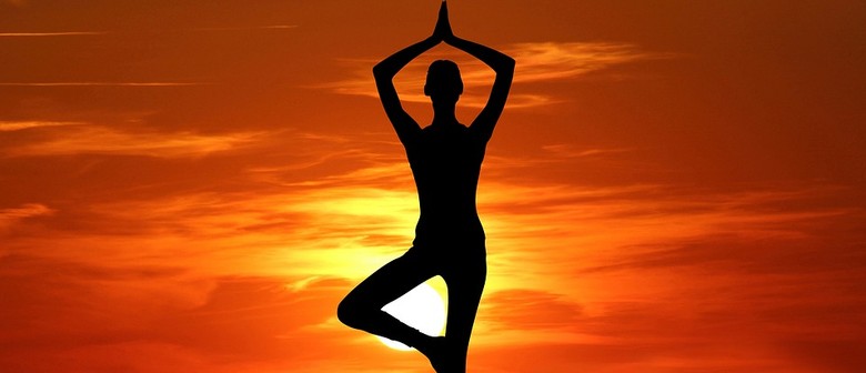 Vinyasa Yoga: CANCELLED