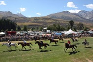 Image for event: The Pig's Glenorchy Races Breakfast + Bus