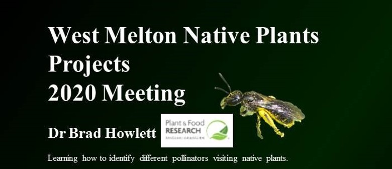 West Melton Native Plants Projects  2020