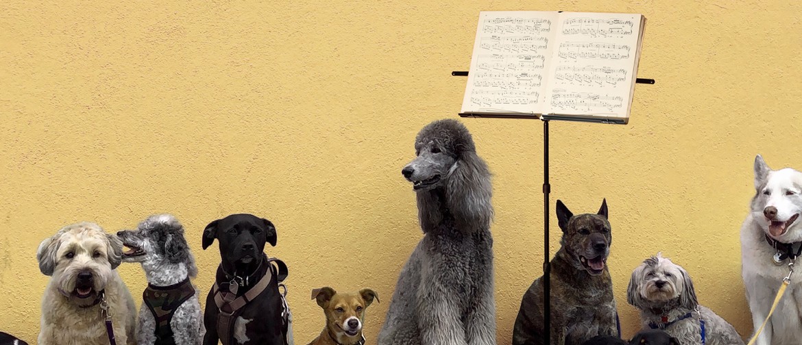Concert for Dogs
