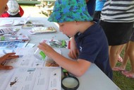 Image for event: The Great Momorangi Treasure Hunt