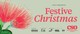 CSO Presents: Festive Christmas 2019