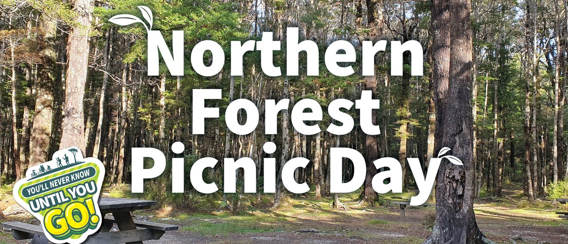 Northern Forest Picnic Day