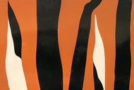 Image for event: Get Wild Animal Trail