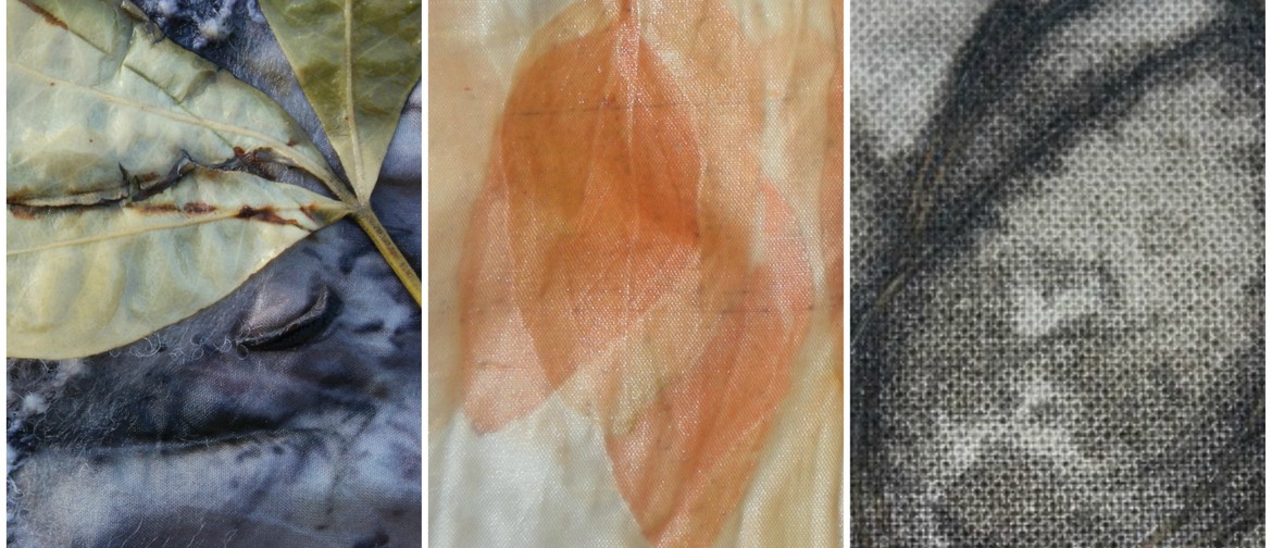 Dyeing Textiles Naturally with Plants