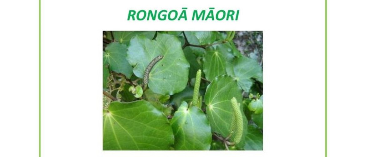 Rongoa - Traditional Maori Medicines