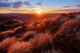 Sunrise Photo Workshop