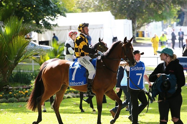 Skycity Boxing Day Races Auckland Eventfinda