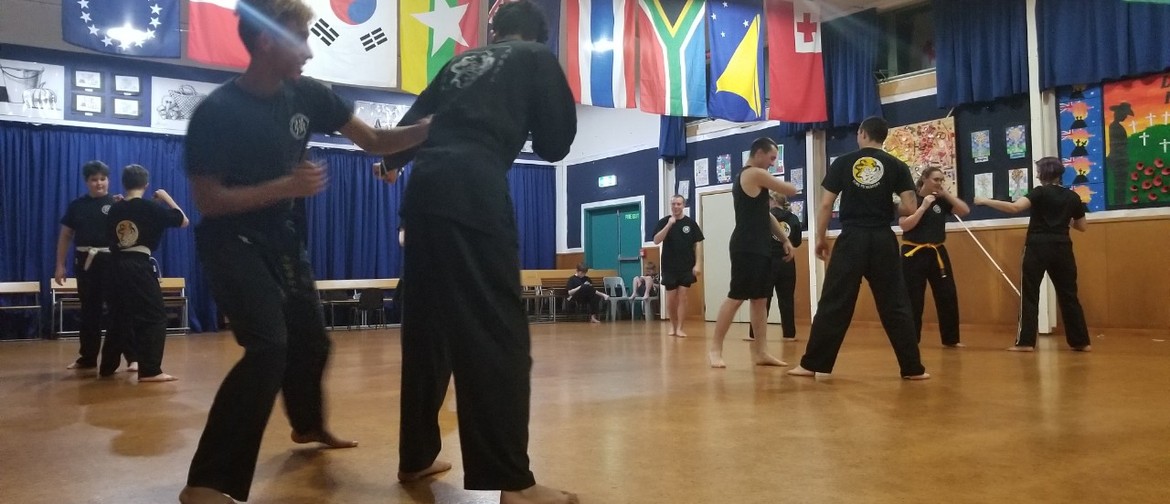 Adults Martial Arts Classes for Beginners and Experts