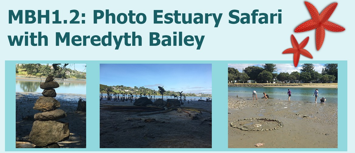 MBH1.2: Photo Estuary Safari with Meredyth Bailey