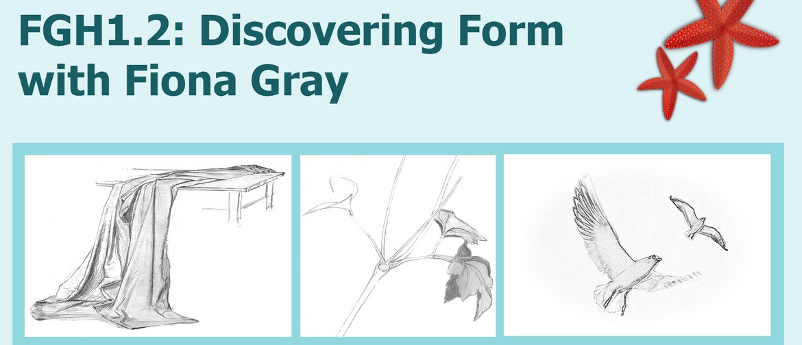 FGH1.2: Discoverying Form through Drawing with Fiona Gray