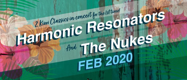 Harmonic Resonators and The Nukes in concert Harmonic Resonators and The Nukes in concert