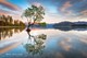 Wanaka Autumn Masterclass Workshop - 4 Days