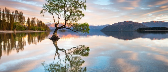 Wanaka Autumn Masterclass Workshop - 4 Days