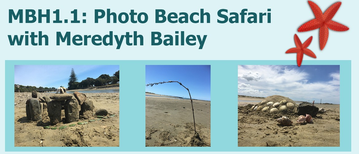 MBH1.1: Photo Beach Safari with Meredyth Bailey: CANCELLED