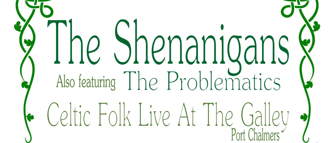 The Shenanigans - Celtic Folk Gig - ft The Problematics