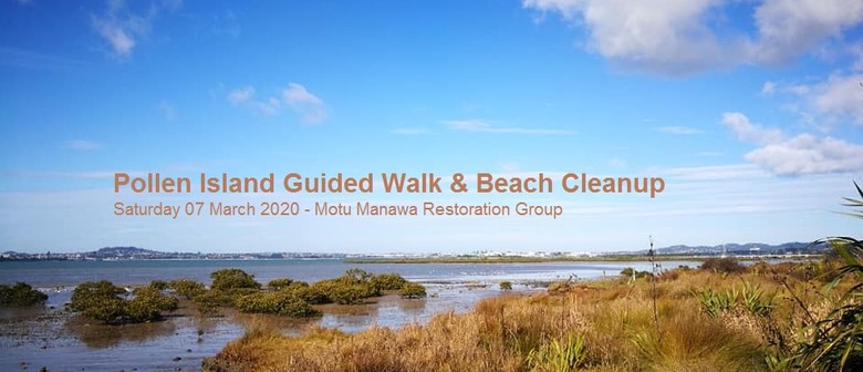 Guided Walk & Beach Cleanup - Pollen Island