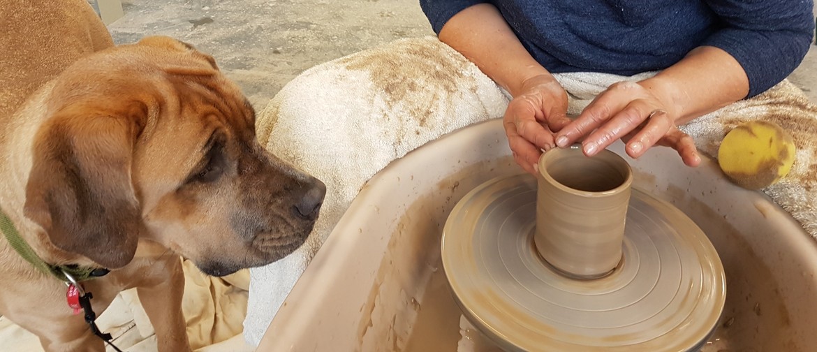 Wheel Thrown and Hand-built Pottery with Jenni Taris