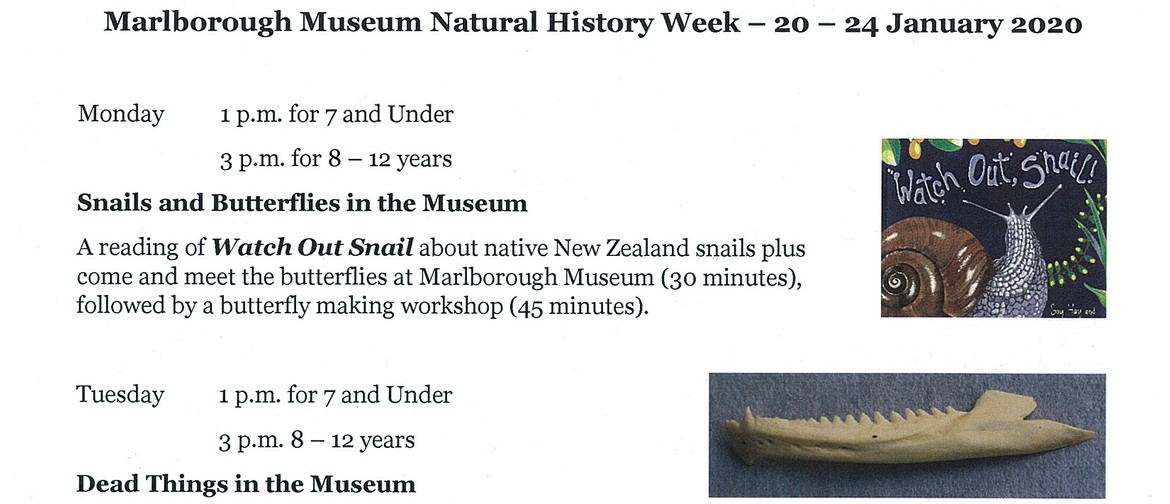 Marlborough Museum Natural History Week