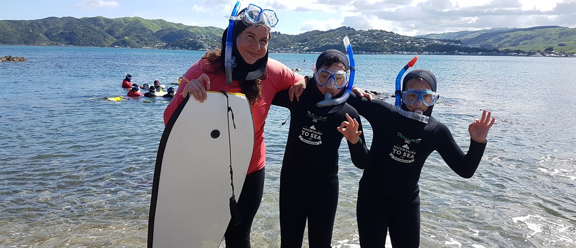 Whitireia Park Community Snorkelling Day