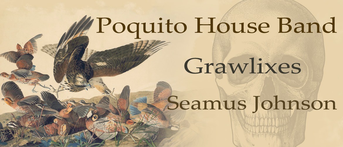 Poquito House Band, Grawlixes and Seamus Johnson