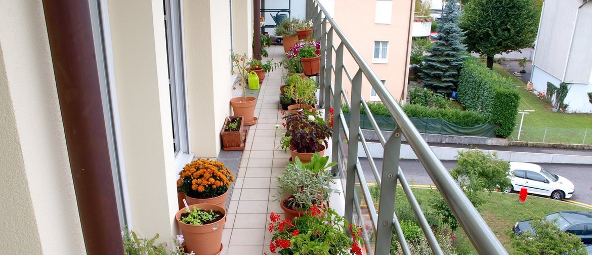 A Crash Course In Container Gardening
