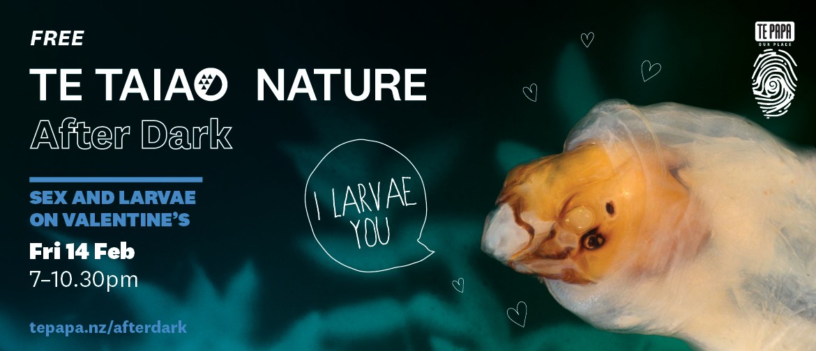 Te Taiao After Dark: Sex and Larvae on Valentines