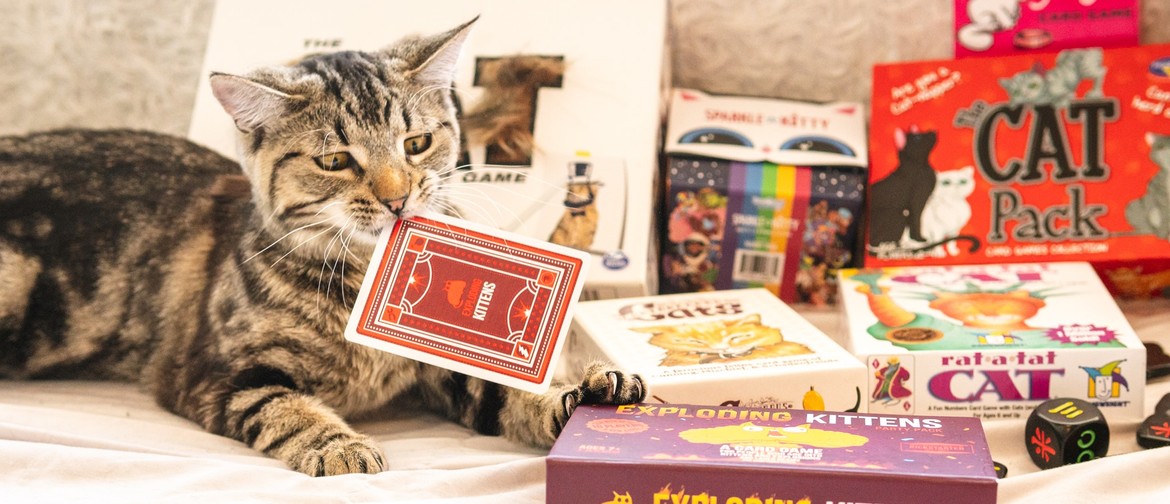 Board Games with Cats