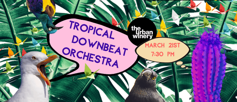 Tropical Downbeat Orchestra
