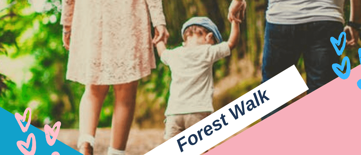 Education Angels - Forest Walk