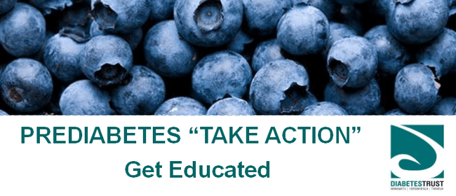Prediabetes Take Action Get Educated