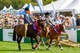 Wanaka A&P Show