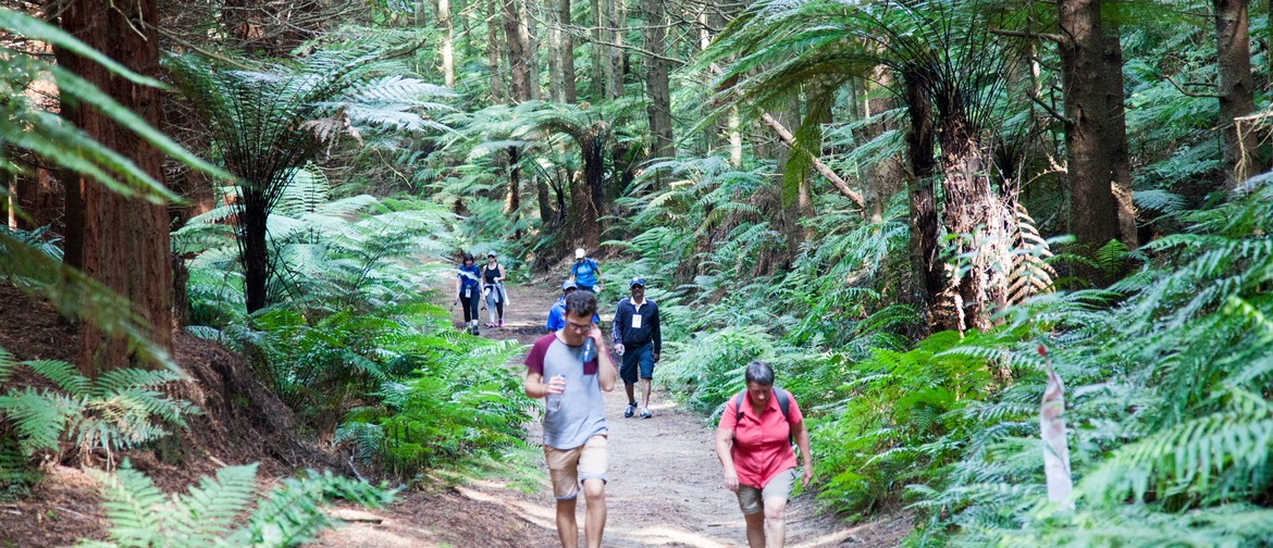 Rotorua Walking Festival 2020