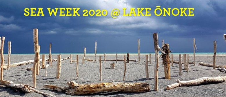 Sea Week 2020: Tour and Beach Tidy @ Lake Onoke