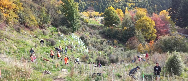 Community Native Planting Day: POSTPONED
