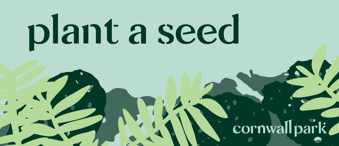 Plant a Seed