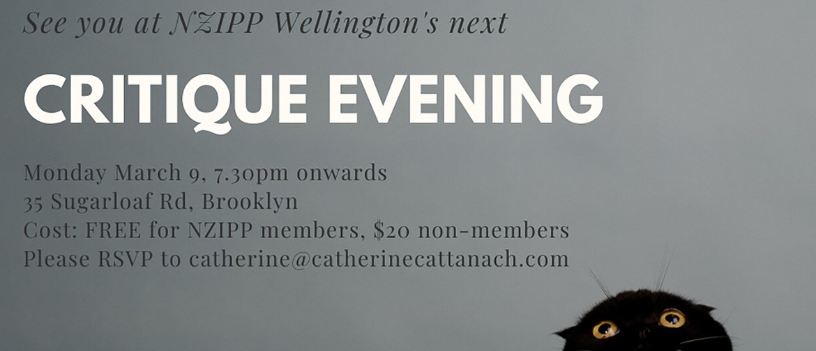 Wellington NZIPP Critique Evening