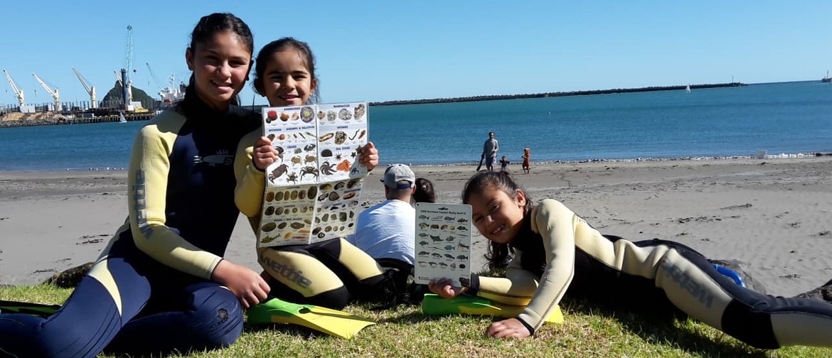 Sea Week Community Snorkel Day - Ngamotu