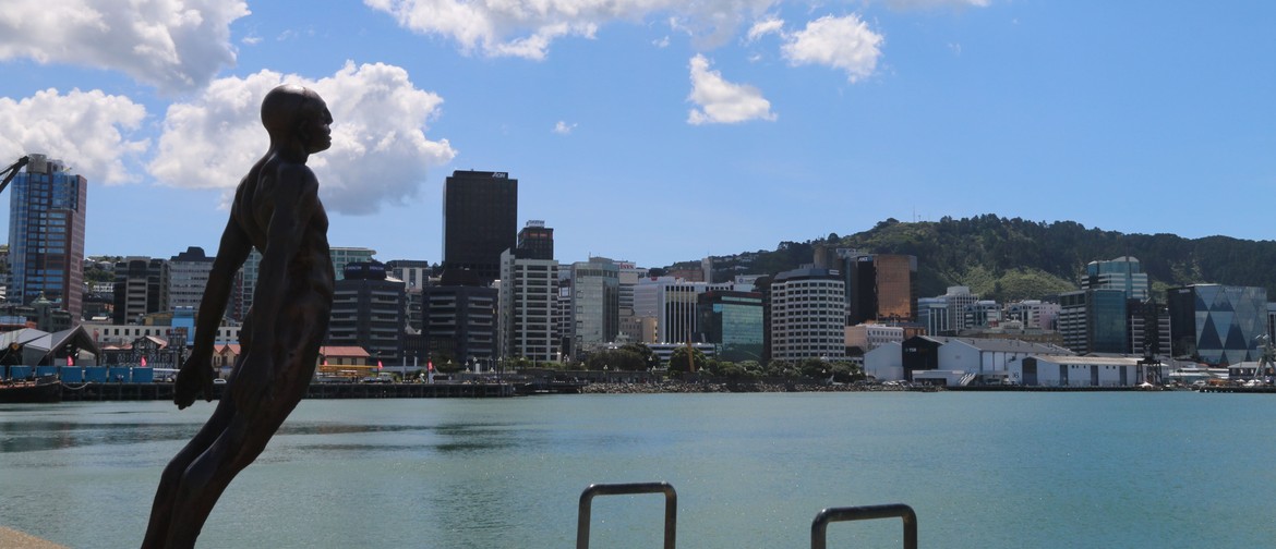 Wellington Harbour Challenge 2020