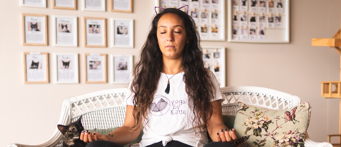 Meditation With Cats