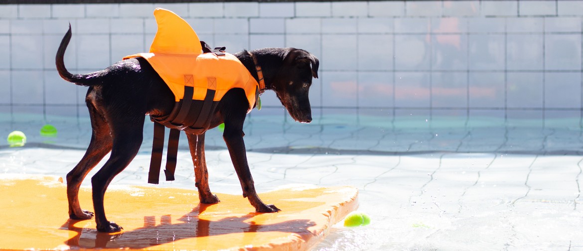 Pooch In the Pool: CANCELLED