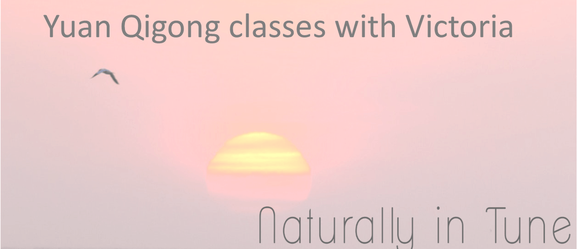 Yuan Qigong Classes Yuan Qigong Classes