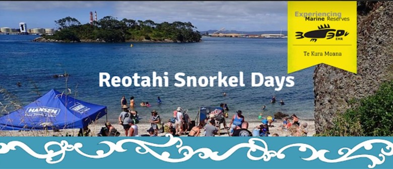 Reotahi Snorkel Day- Experiencing Marine Reserves