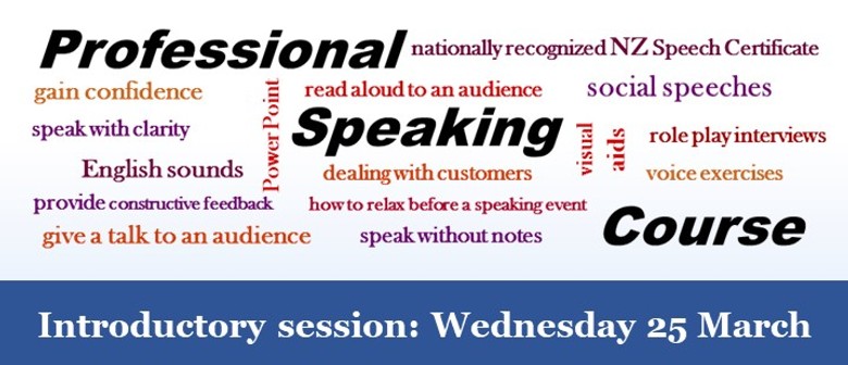 Professional Speaking Course Professional Speaking Course